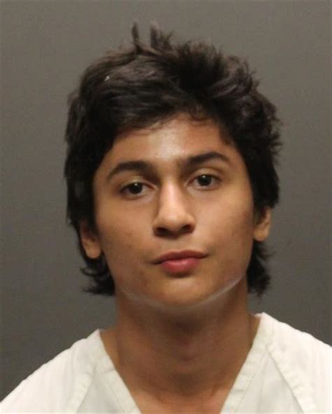 Court documents: Teen's fatal shooting in Catalina came during .